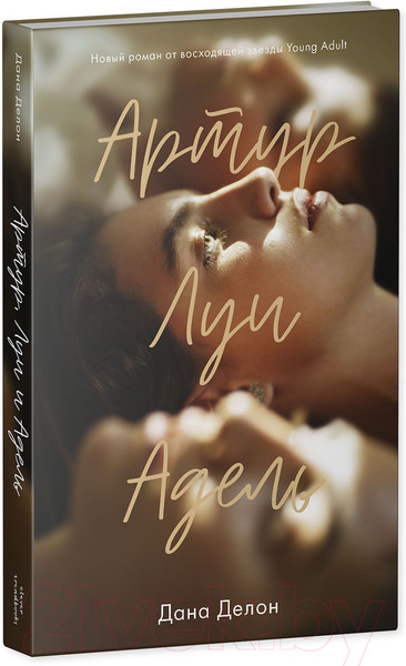 Изображение товара Книга CLEVER Артур, Луи и Адель (Делон Д.)