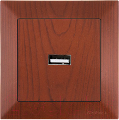 Изображение товара Розетка Mutlusan Daria 2120 448 0156 (вишневый)