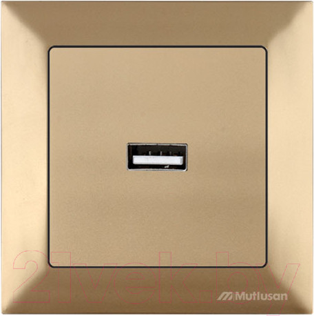 Изображение товара Розетка Mutlusan Daria 2120 448 0180 (золото)