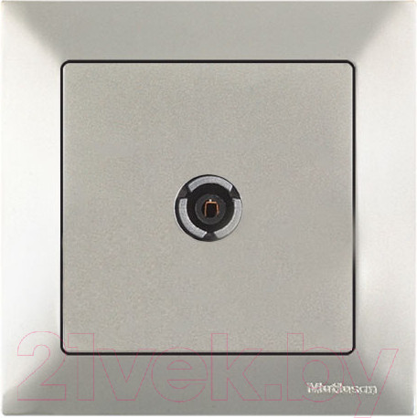 Изображение товара Розетка Mutlusan Daria 2120 170 0183 (титан)
