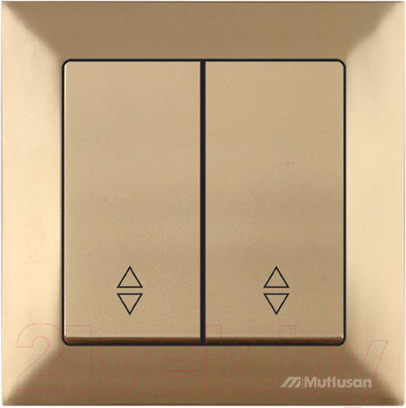 Изображение товара Выключатель Mutlusan Daria 2120 404 0180 (золотой)