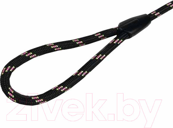 Изображение товара Поводок Beeztees 744002 (черный, нейлон)
