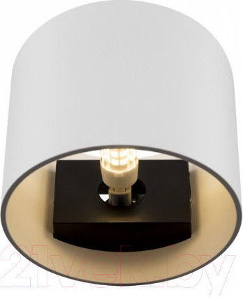 Изображение товара Бра Maytoni Rond C066WL-01W