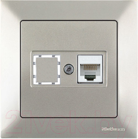 Изображение товара Розетка Mutlusan Daria 2120 136 0183 (титан)
