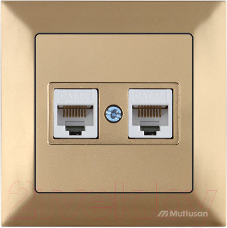 Изображение товара Розетка Mutlusan Daria 2120 138 0180 (золото)