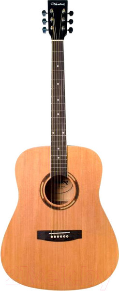 Изображение товара Акустическая гитара Veston D-40 SP/N