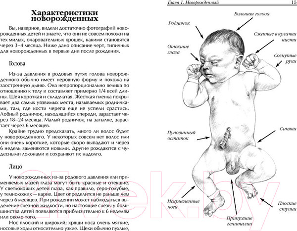 Изображение товара Книга Попурри Уход за малышом в первый год жизни (Бакушева М.Д.)