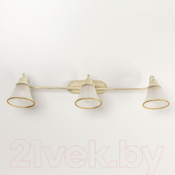 Изображение товара Светильник Citilux Патина CL511534