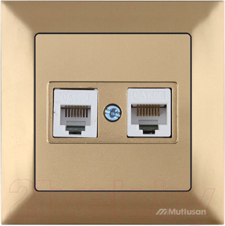 Изображение товара Розетка Mutlusan Daria 2120 139 0180 (золото)