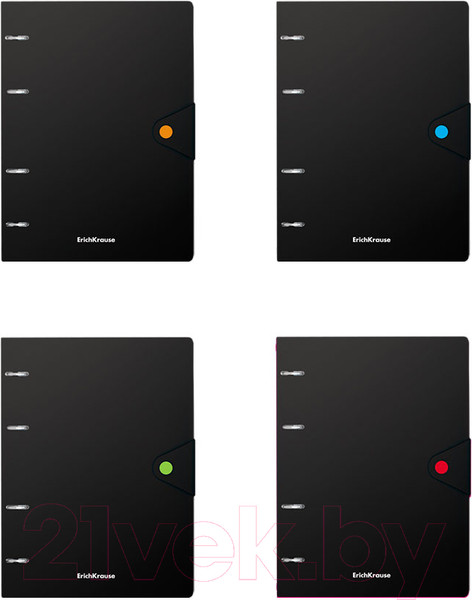 Изображение товара Тетрадь Erich Krause Accent / 51429 (80л, клетка)