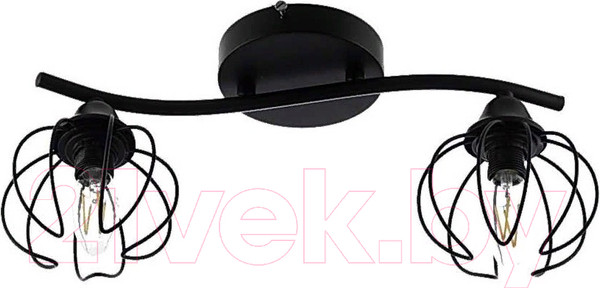 Изображение товара Потолочный светильник Aitin-Pro НПБ A722/2 (черный/черный)