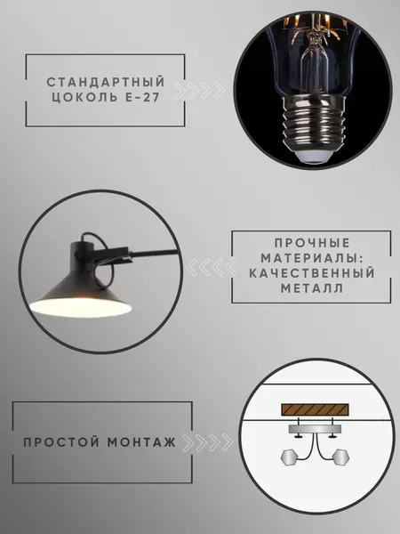 Изображение товара Потолочный светильник Aitin-Pro НПБ C1013/2 (черный/белый)