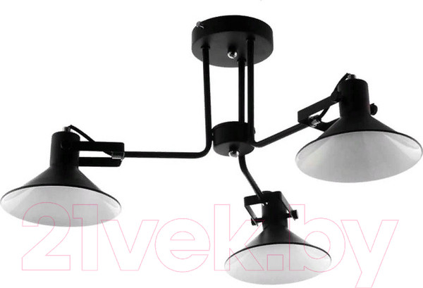 Изображение товара Люстра Aitin-Pro НПБ C1013/3 (черный/белый)