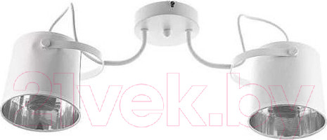 Изображение товара Потолочный светильник Aitin-Pro НПБ K065/2 (белый)