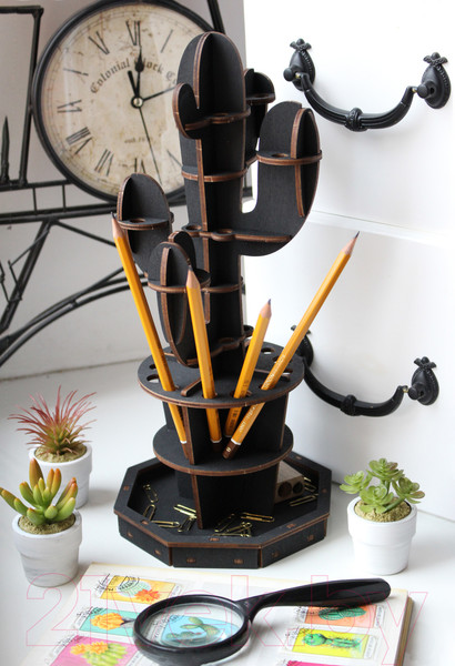 Изображение товара Органайзер настольный EWA Кактус (черный)