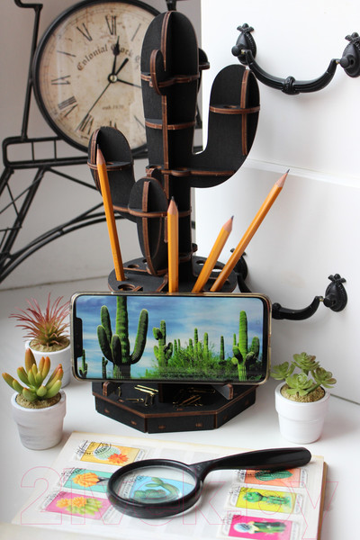 Изображение товара Органайзер настольный EWA Кактус (черный)