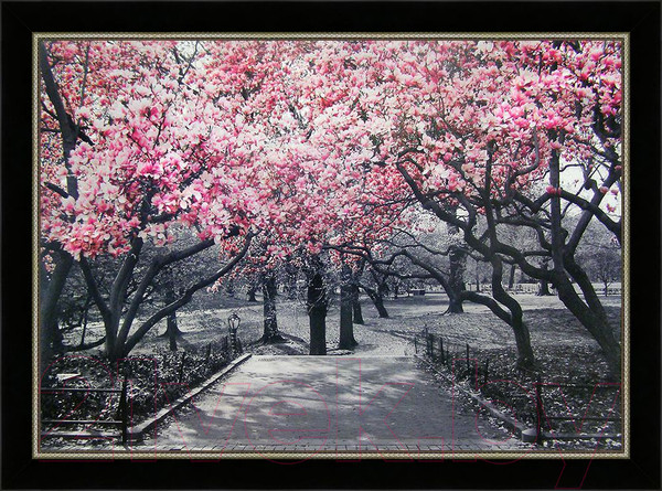 Изображение товара Картина Декарт Сад Сакуры 8Л2440 (в раме)