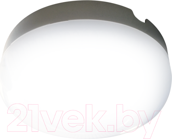 Изображение товара Светильник ЖКХ JAZZway 5009349