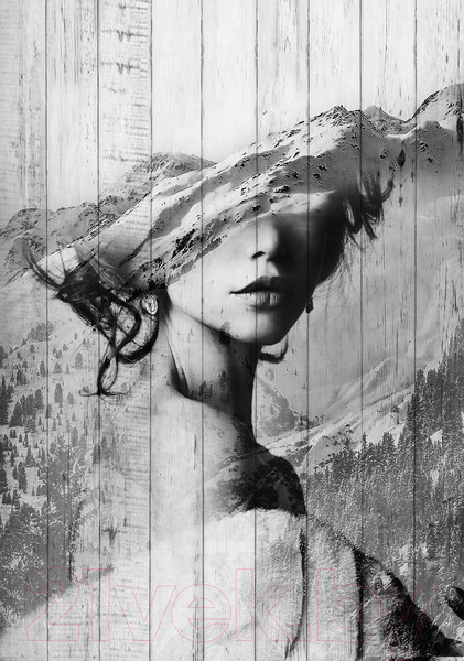 Изображение товара Картина White Wood B112-V-036-055-6.35