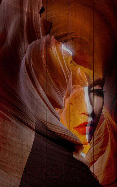 Изображение товара Картина White Wood B112-V-036-055-6.37