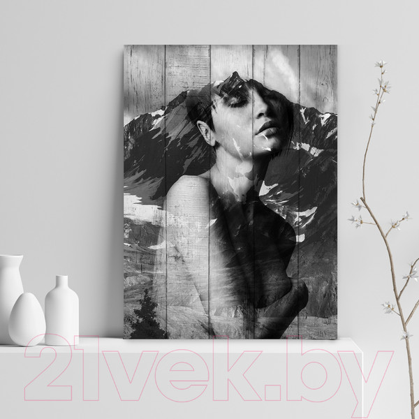 Изображение товара Картина White Wood B112-V-036-055-6.38