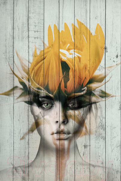 Изображение товара Картина White Wood B112-V-060-090-6.31