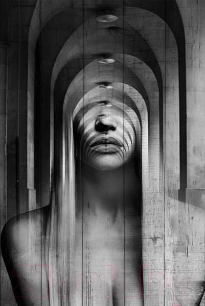 Изображение товара Картина White Wood B112-V-072-115-6.36