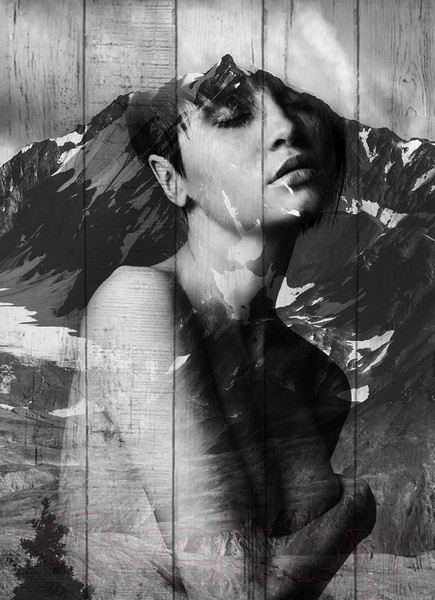 Изображение товара Картина White Wood B112-V-084-135-6.38