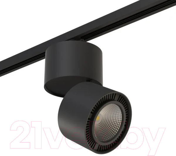 Изображение товара Трековый светильник Lightstar Forte Muro A1T214837