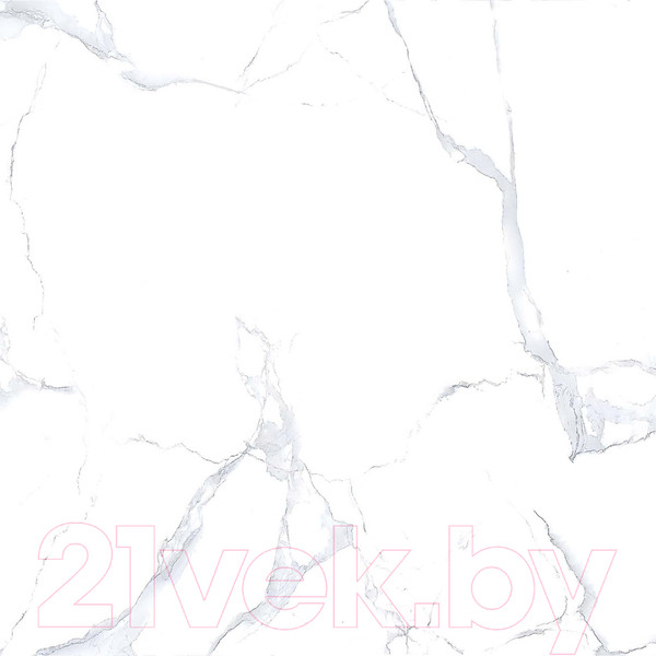 Изображение товара Плитка Netto Alpine Carrara Polished (600x600)