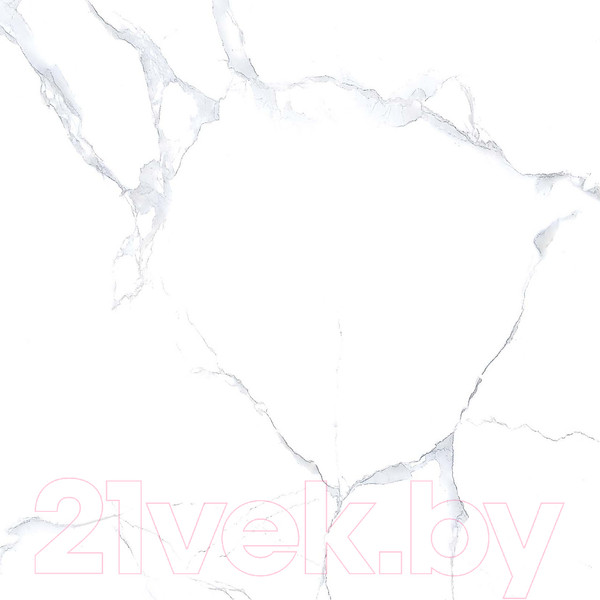 Изображение товара Плитка Netto Alpine Carrara Polished (600x600)
