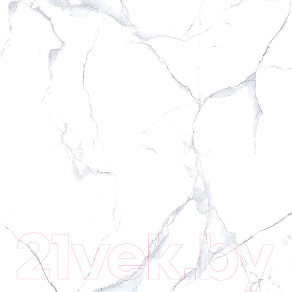 Изображение товара Плитка Netto Alpine Carrara Polished (600x600)