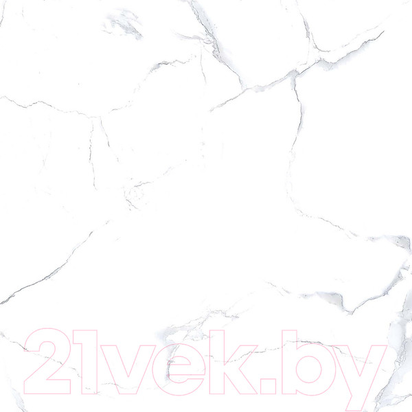 Изображение товара Плитка Netto Alpine Carrara Polished (600x600)