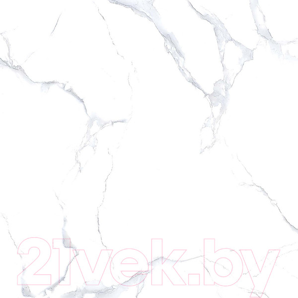 Изображение товара Плитка Netto Alpine Carrara Polished (600x600)
