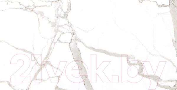 Изображение товара Плитка Netto Kalos Stone Polished (600x1200)