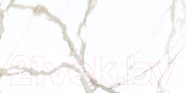 Изображение товара Плитка Netto Kalos Stone Polished (600x1200)