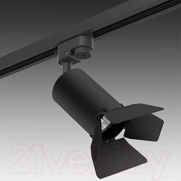 Изображение товара Трековый светильник Lightstar Rullo R1T437437