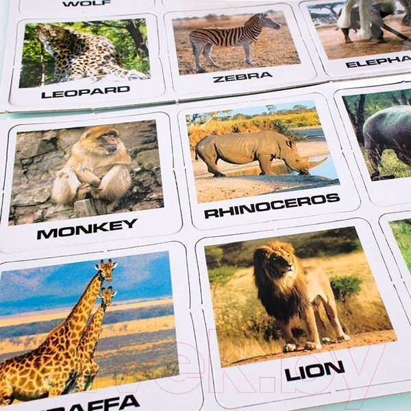 Изображение товара Настольная игра Darvish Animals Match / DV-T-2726