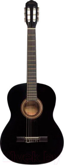 Изображение товара Акустическая гитара Terris TC-390A BK