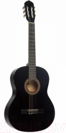 Изображение товара Акустическая гитара Terris TC-390A BK