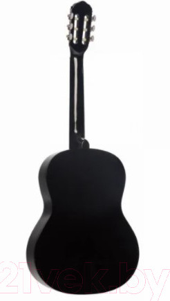 Изображение товара Акустическая гитара Terris TC-390A BK