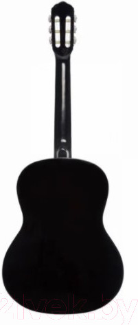 Изображение товара Акустическая гитара Terris TC-390A BK