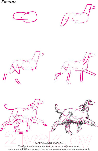 Изображение товара Книга Попурри Рисуем 50 собак (Ли Эймис)