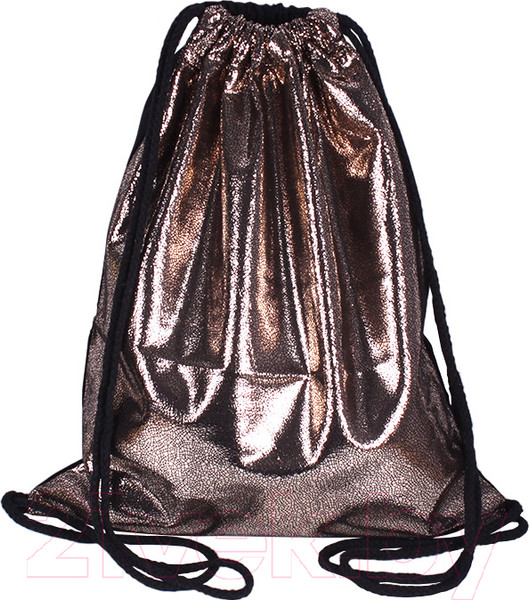 Изображение товара Мешок для обуви Darvish DV-12643 (принт)