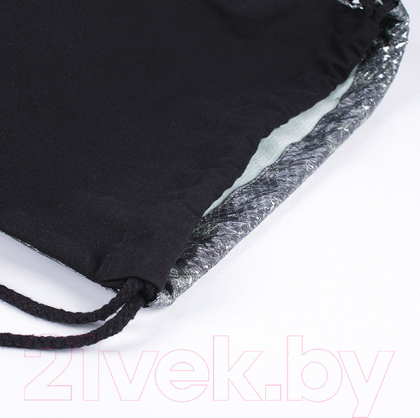 Изображение товара Мешок для обуви Darvish DV-12646 (принт)