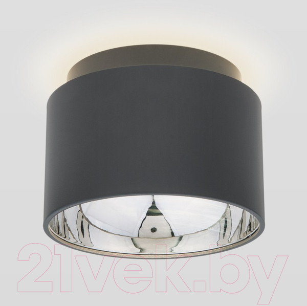 Изображение товара Точечный светильник Elektrostandard 1069 GX53 GR