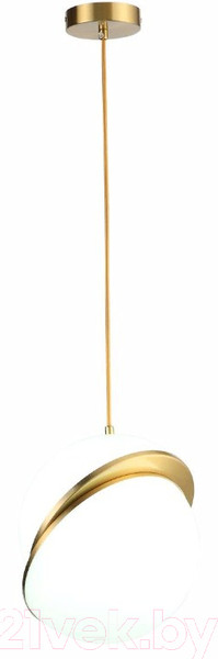 Изображение товара Потолочный светильник ST Luce Laico SL1164.313.01