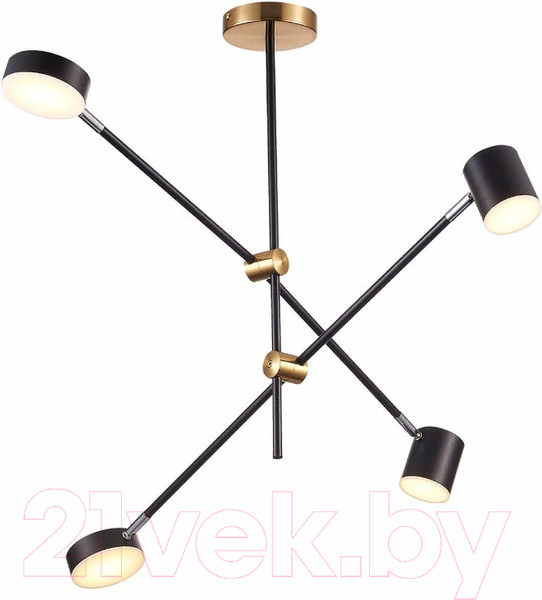 Изображение товара Люстра ST Luce Rodrigo SL1604.432.04