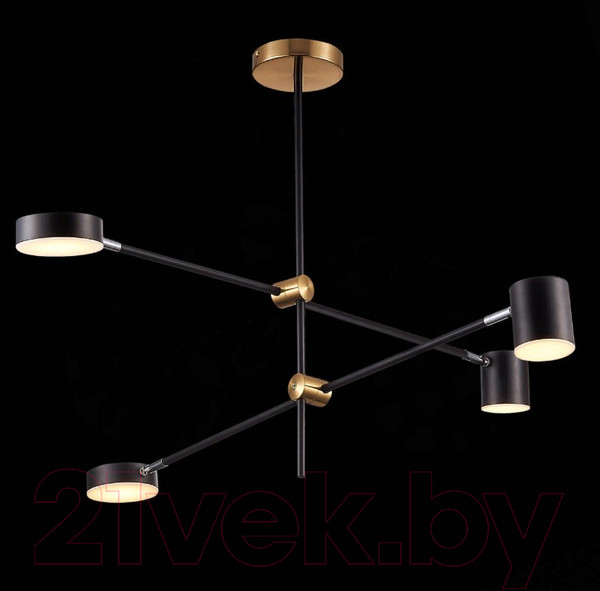 Изображение товара Люстра ST Luce Rodrigo SL1604.432.04