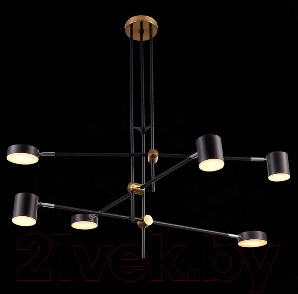 Изображение товара Люстра ST Luce Rodrigo SL1604.432.06